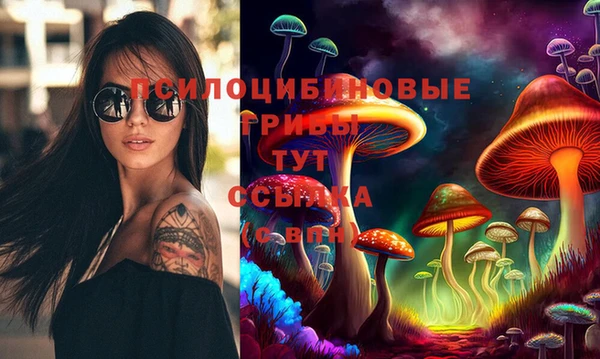дмт Нея