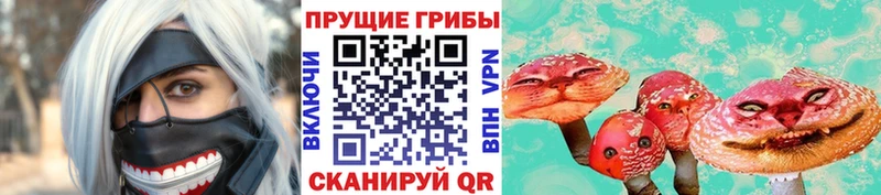 Галлюциногенные грибы Magic Shrooms купить наркотики сайты Княгинино
